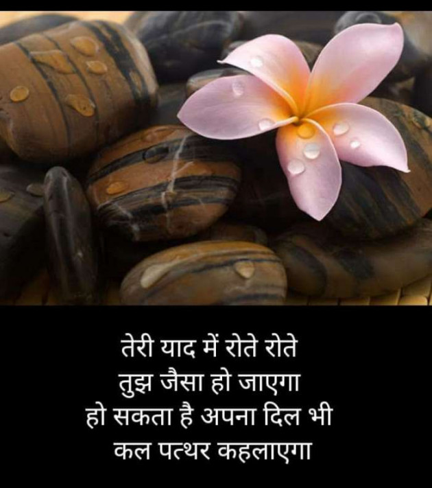 Hindi Blog by Kumar Rahman : 111673799