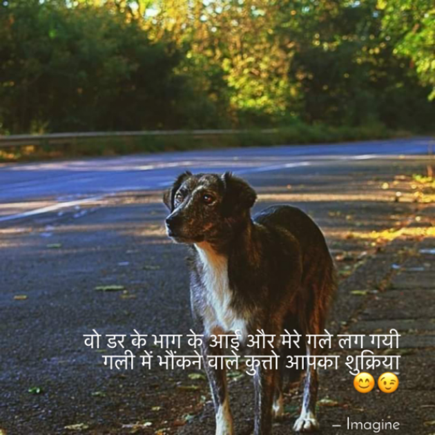 English Shayri by Imagine : 111674070