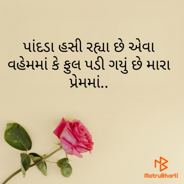Gujarati Blog by Tushar PateL : 111674089