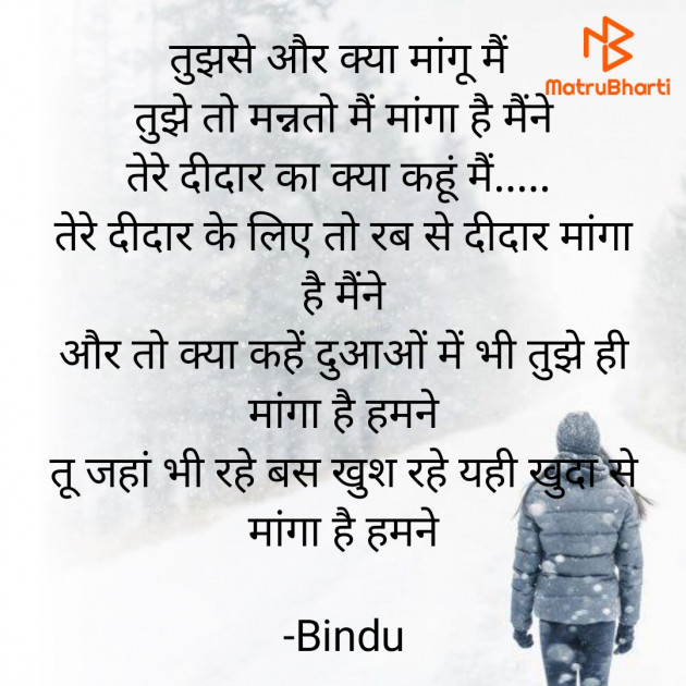 Hindi Blog by Bindu _Maiyad : 111675122