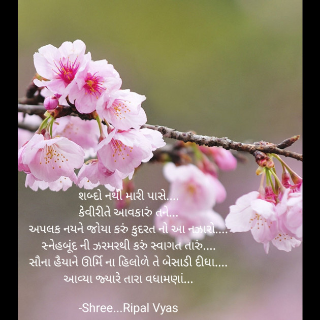 Gujarati Quotes by Shree...Ripal Vyas : 111675167