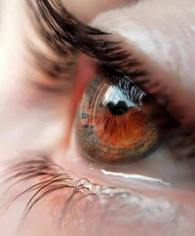 Hindi Blog by गुॅंजन कमल : 111675246