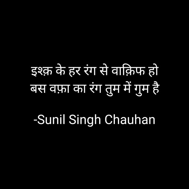 Hindi Blog by Sunil Singh Chauhan : 111675519