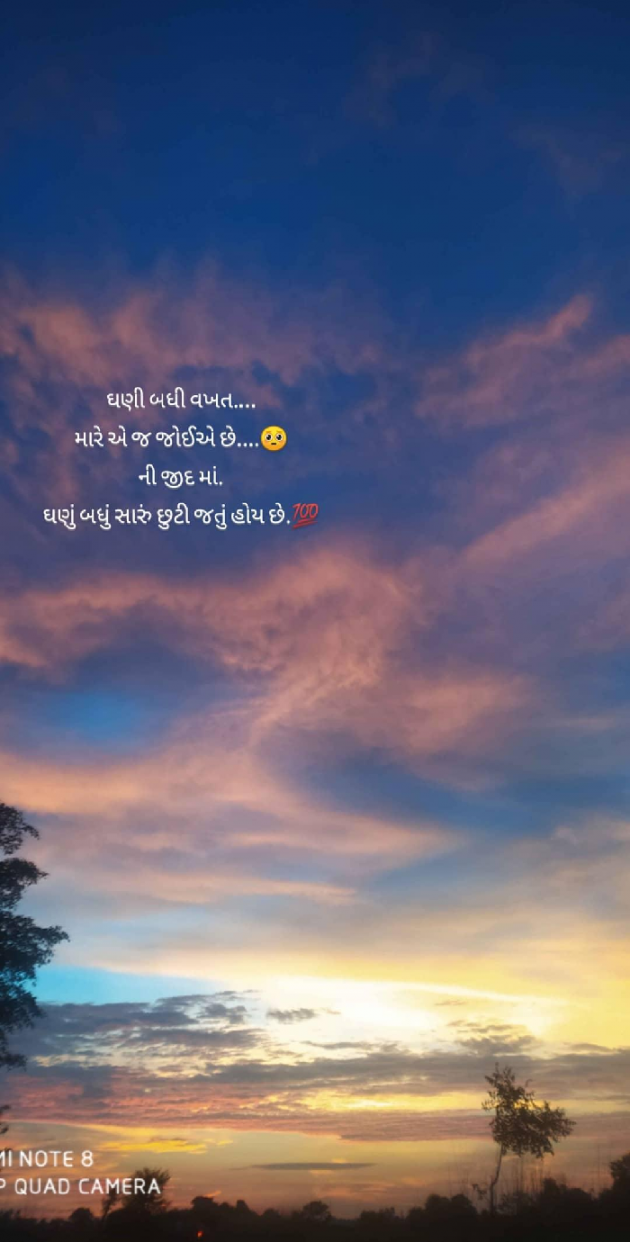 Gujarati Whatsapp-Status by Vikram Makwana : 111676048