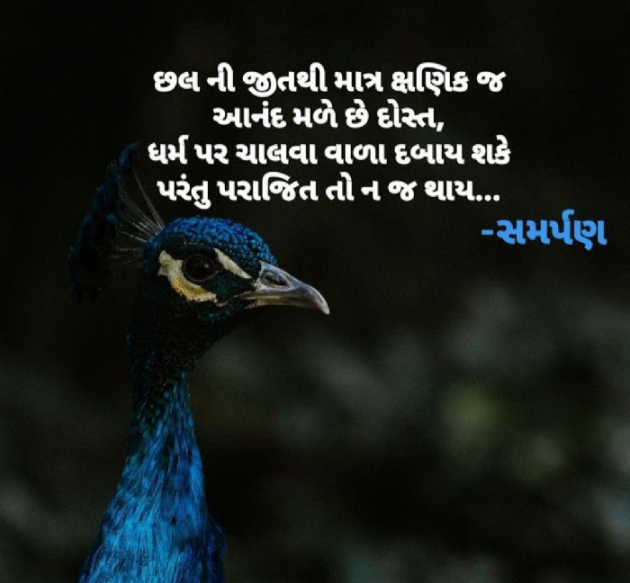 Gujarati Religious by Chandani Gadhia : 111676228