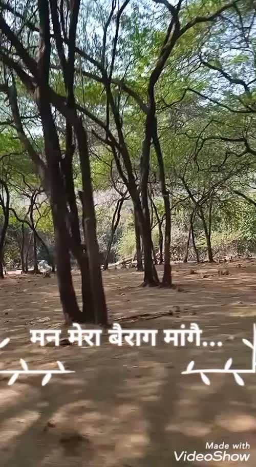 Yayawargi (Divangi Joshi) videos on Matrubharti