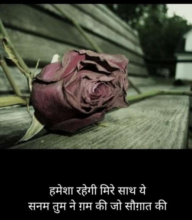 Hindi Blog by Kumar Rahman : 111676508