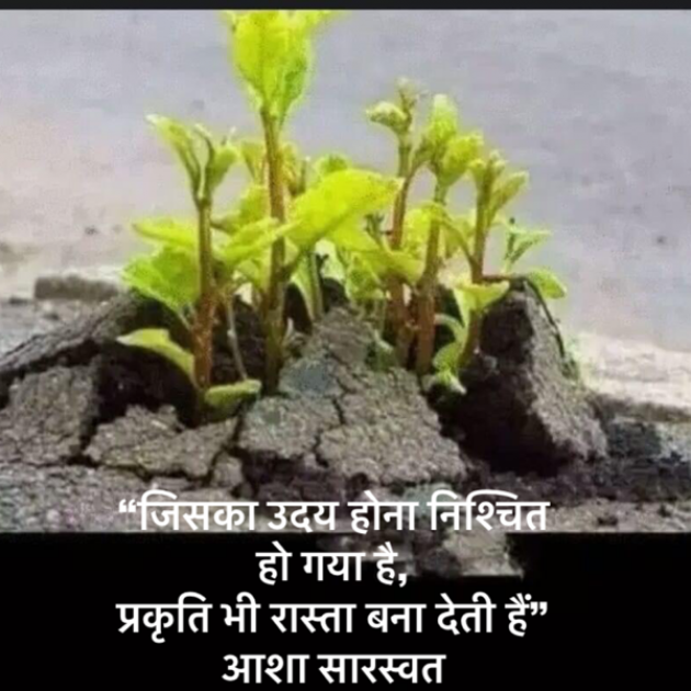 Hindi Blog by Asha Saraswat : 111677274
