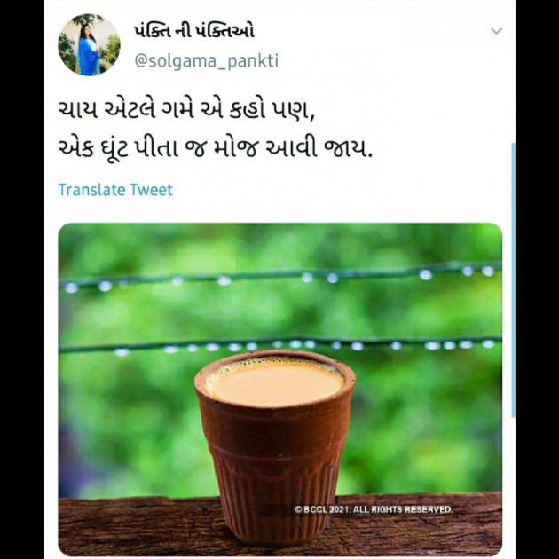Gujarati Shayri by pankti solgama : 111677306