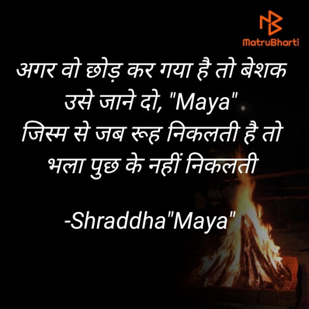 Hindi Blog by Shraddha : 111677452