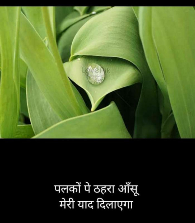 Hindi Blog by Kumar Rahman : 111677526