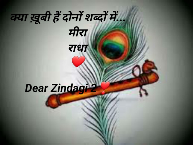 Hindi Blog by Dear Zindagi 2 : 111677602