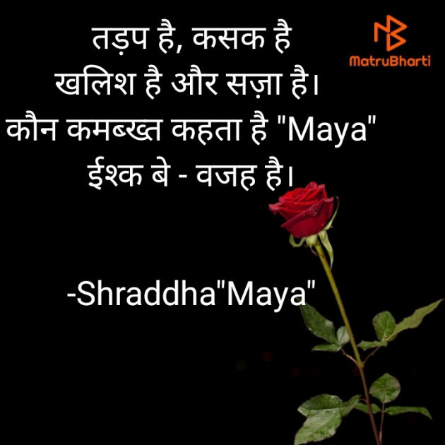 Hindi Blog by Shraddha : 111677942