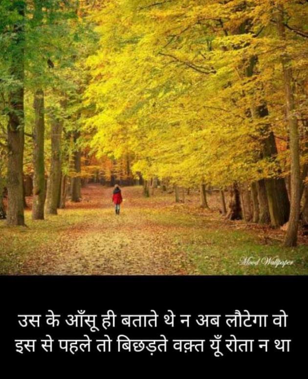 Hindi Blog by Kumar Rahman : 111678469