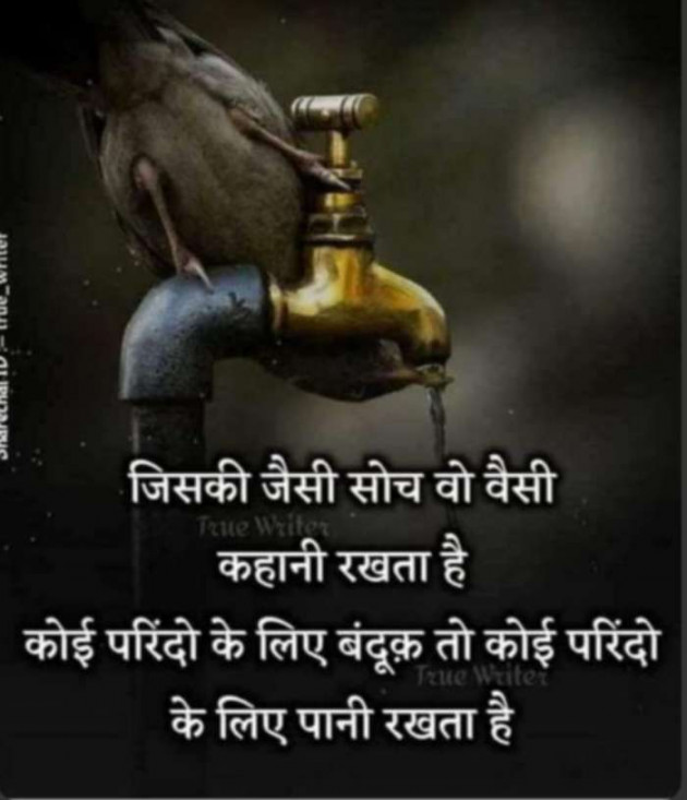 Gujarati Good Evening by Nai Jignesh : 111678880