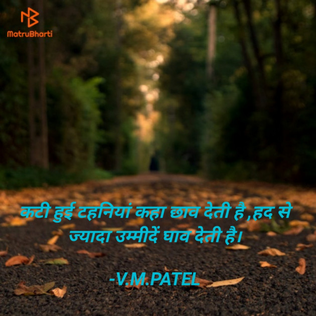 Gujarati Quotes by V.M.PATEL : 111679227