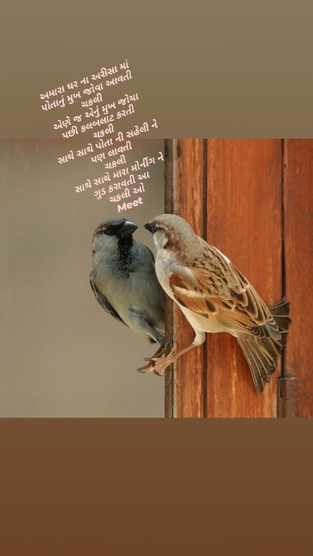 Gujarati Blog by mital tank : 111679339