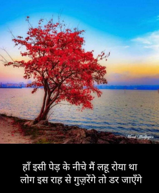 Hindi Blog by Kumar Rahman : 111680148