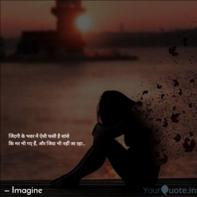 English Shayri by Imagine : 111681212