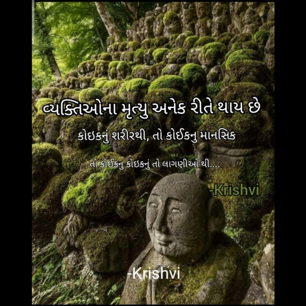 Gujarati Blog by Krishvi : 111681678