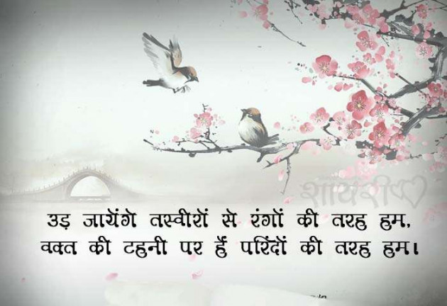 Hindi Whatsapp-Status by SUBHASH : 111682252