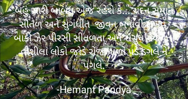 Gujarati Quotes by Hemant pandya : 111682833