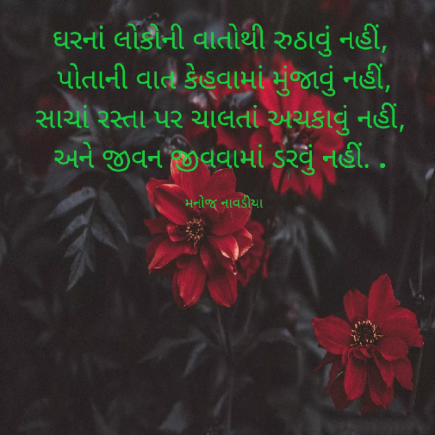 Gujarati Quotes by મનોજ નાવડીયા : 111684289