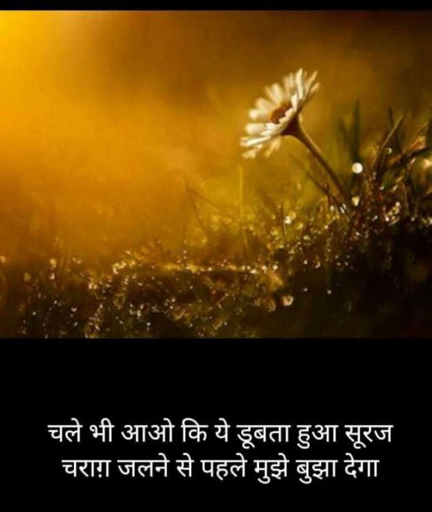 Hindi Blog by Kumar Rahman : 111684337