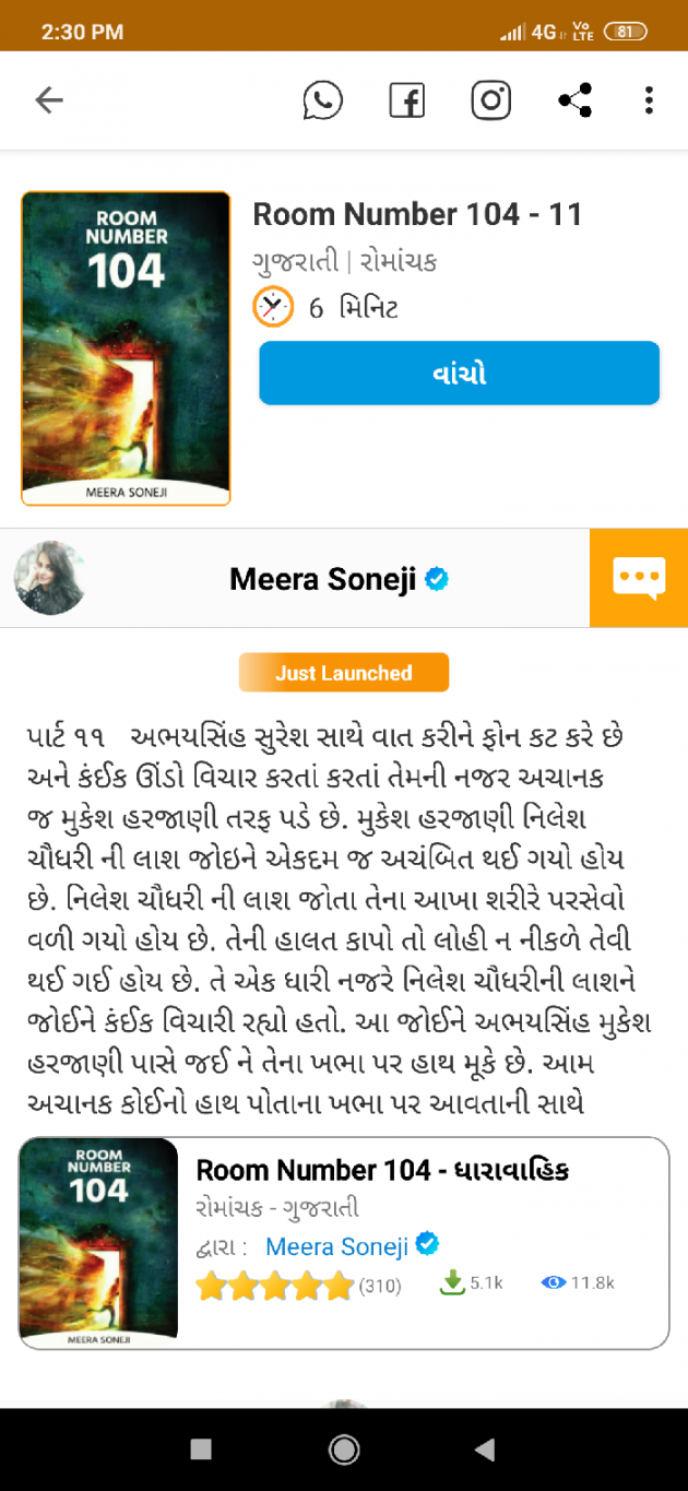 Gujarati Blog by Meera Soneji : 111684515