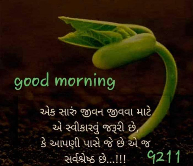 Gujarati Quotes by Harsh Pateliya : 111684640