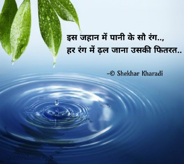 Hindi Blog by shekhar kharadi Idriya : 111684851
