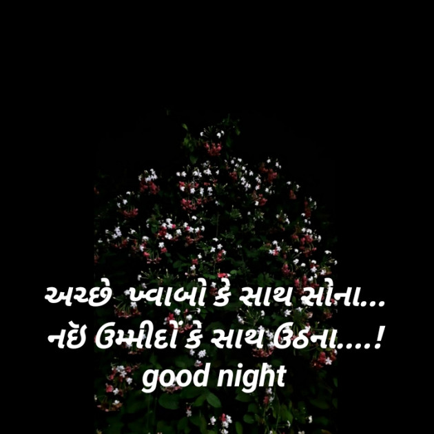 Gujarati Good Night by Shobhna : 111685159