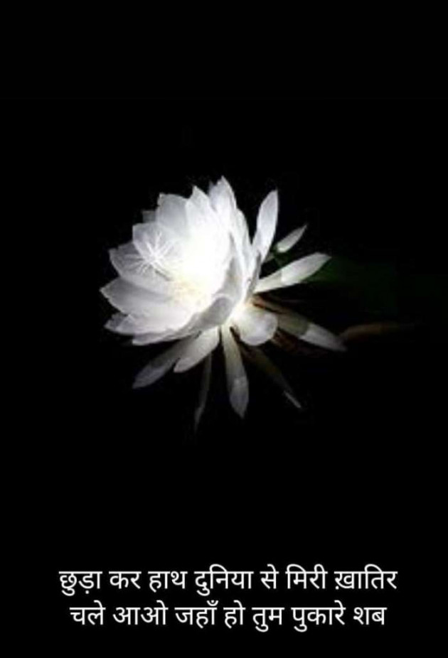 Hindi Blog by Kumar Rahman : 111685236