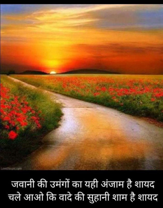 Hindi Blog by Kumar Rahman : 111686406