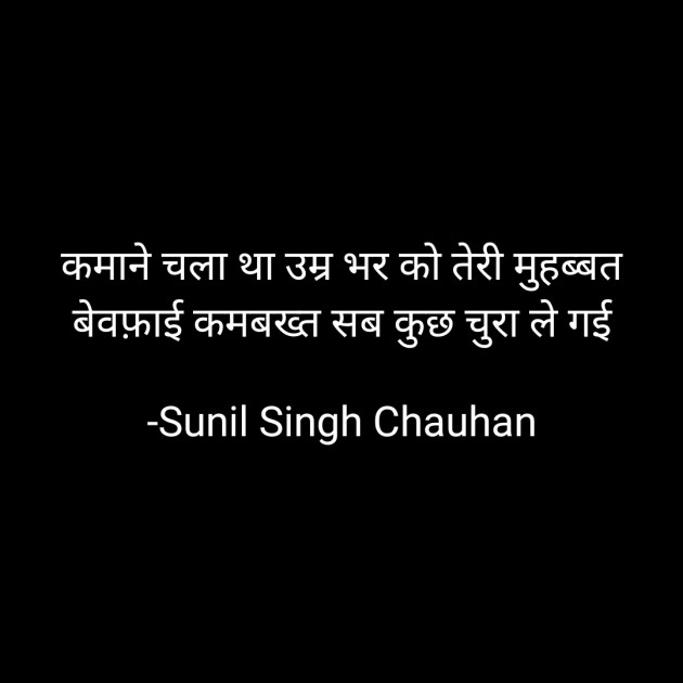 Hindi Blog by Sunil Singh Chauhan : 111686743