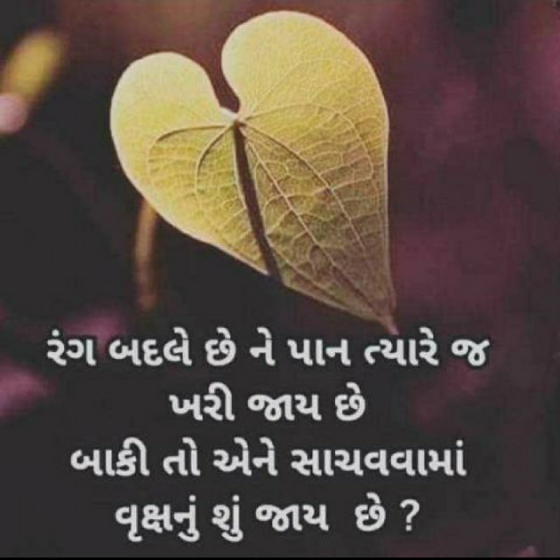 Gujarati Microfiction by Punita : 111686755