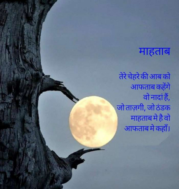 Hindi Whatsapp-Status by SUBHASH : 111687070