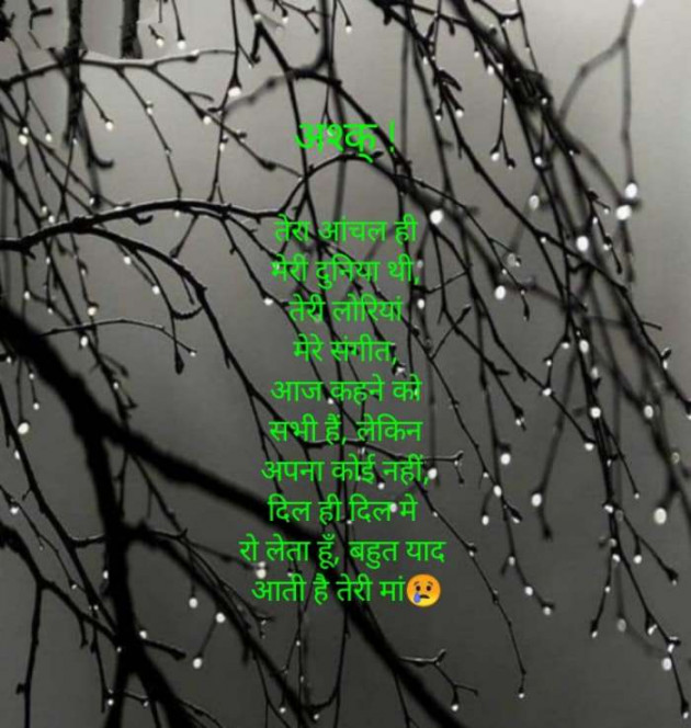 Hindi Whatsapp-Status by SUBHASH : 111687082