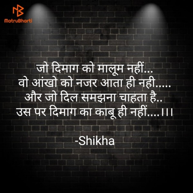Hindi Blog by Shikha : 111687115