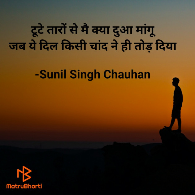Hindi Blog by Sunil Singh Chauhan : 111687805