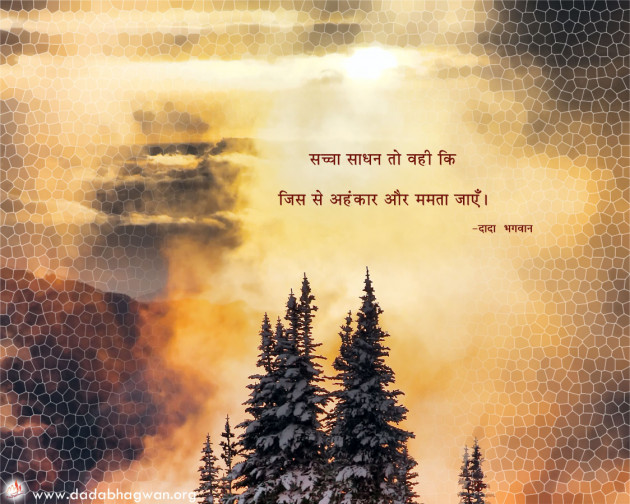 Hindi Motivational by Dada Bhagwan : 111687967