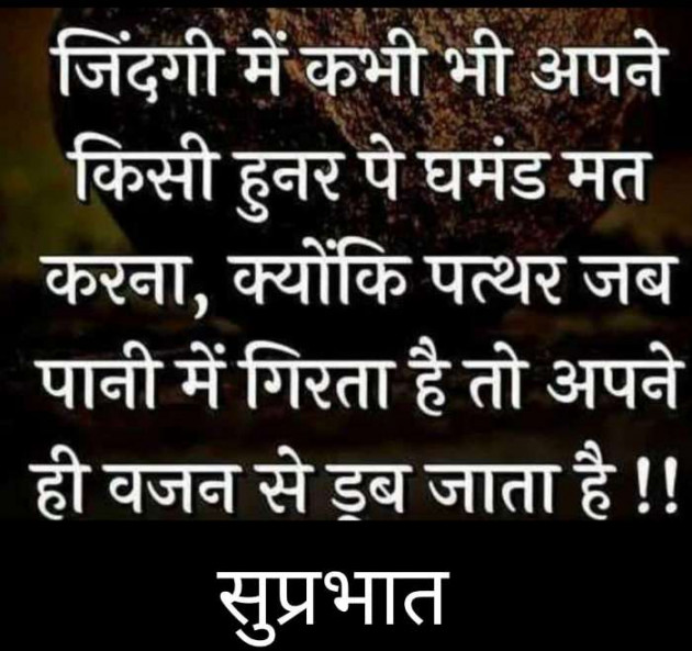 Hindi Quotes by Sawar Mal Patwari : 111688227