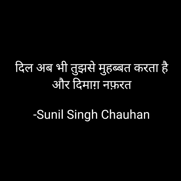 Hindi Blog by Sunil Singh Chauhan : 111688261
