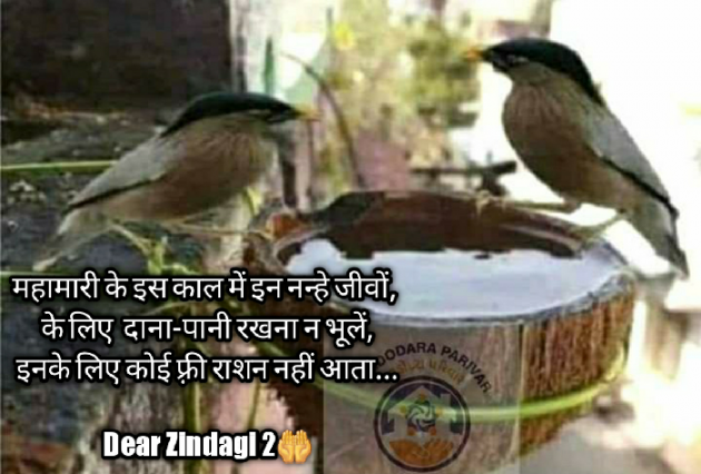 Hindi Blog by Dear Zindagi 2 : 111688599