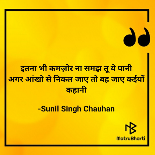 Hindi Blog by Sunil Singh Chauhan : 111689175