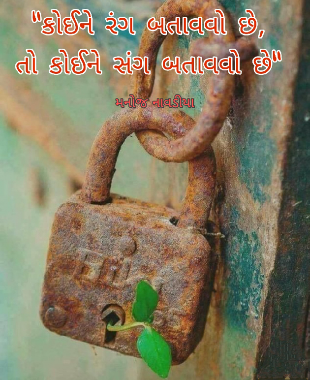 Gujarati Quotes by મનોજ નાવડીયા : 111690066