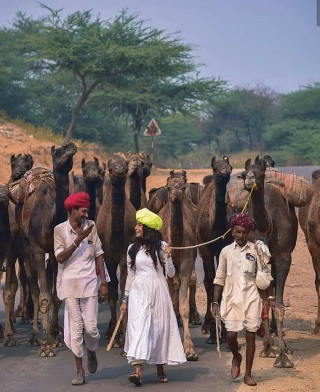 Hindi Blog by Radhika : 111690141