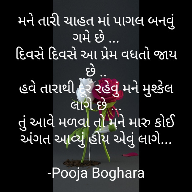 Gujarati Shayri by Pooja Boghara : 111691700
