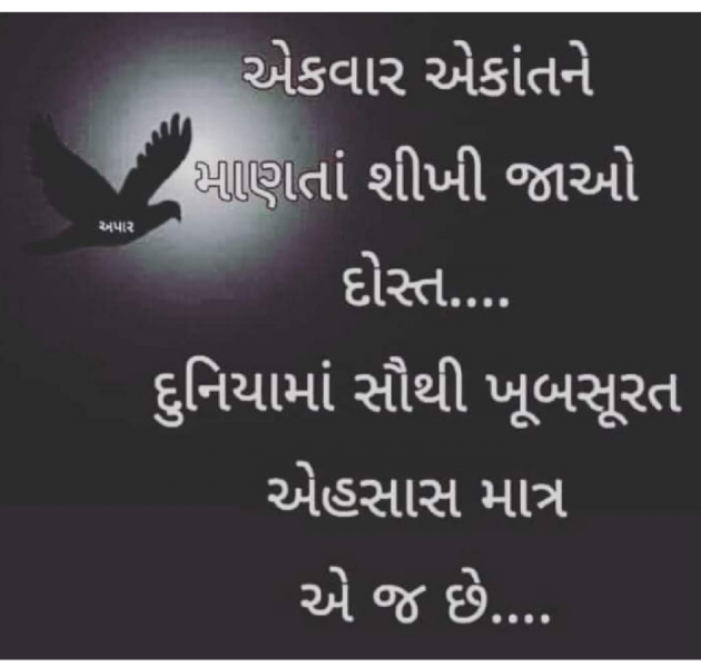 Gujarati Whatsapp-Status by Zala Jayvirsinh : 111691792