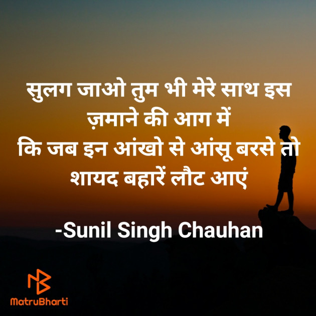 Hindi Blog by Sunil Singh Chauhan : 111691966